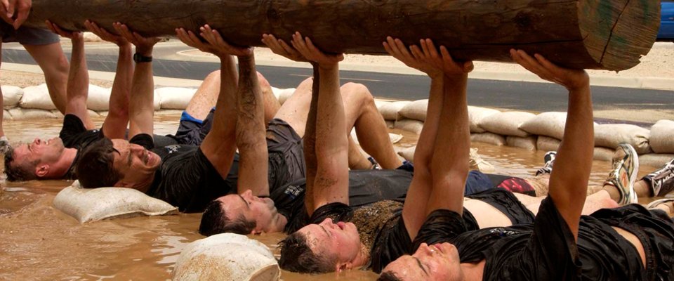 Formation et consultation